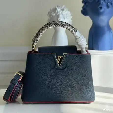 2110YA0096 LV Bags 0730